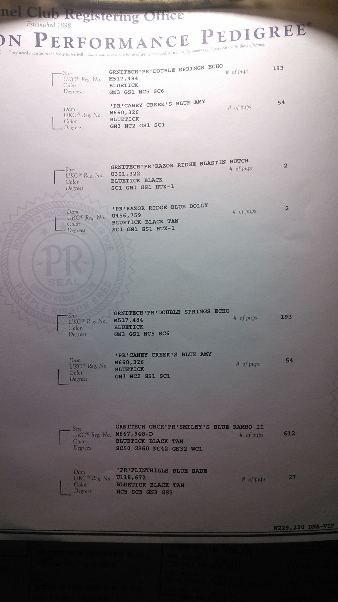 Rider pedigree page two